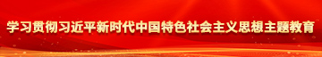 操逼小网站上学习贯彻习近平新时代中国特色社会主义思想主题教育